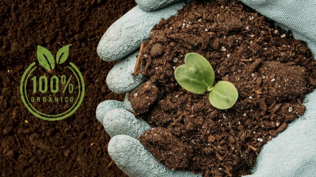 GRANJA DIAMANTINO INCENTIVA O USO DE ADUBO ORGÂNICO EM DIAMANTINO E ALTO PARAGUAI